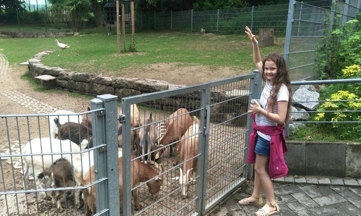 Tierpark Fauna